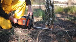 Lawn Grading and Leveling in Vinita, OK